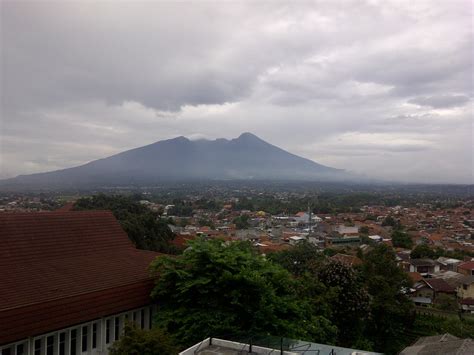 The Global Gamine: Snakefruit Mountain, Bogor