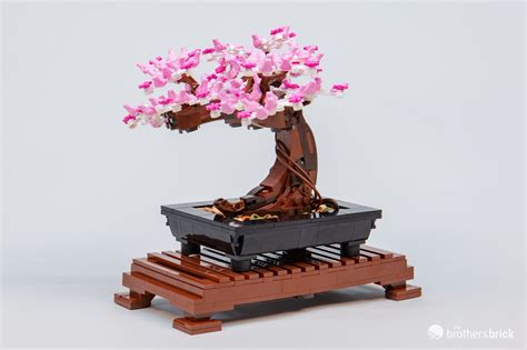 LEGO Botanical Collection 10281 Bonsai Tree - TBB Review-6CY86-41 - The ...