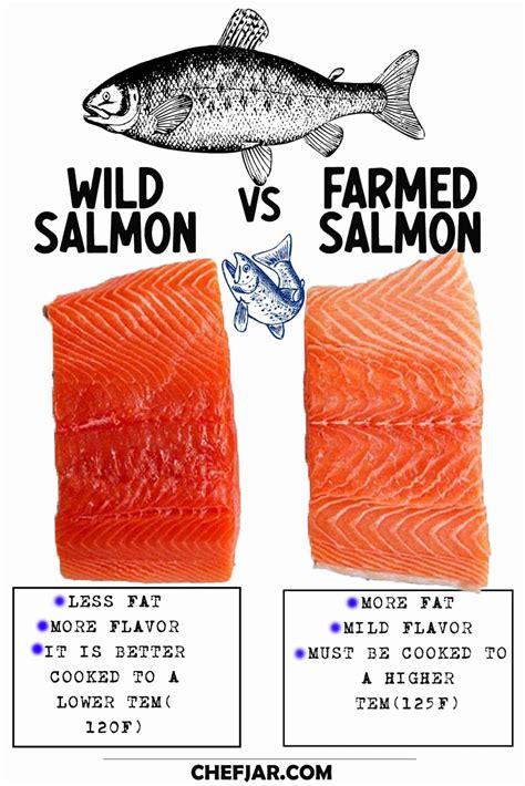 Wild Salmon Vs Farmed Salmon