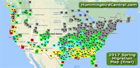 2017 hummingbird spring migration map, 2017 hummingbird sightings ...