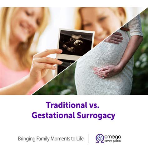 General Overview: Traditional and Gestational Surrogacy - Omega Family Global