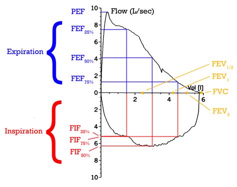 Spirometry Diagram