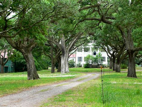 James Island, SC- Attractions - Fun things to do in Charleston