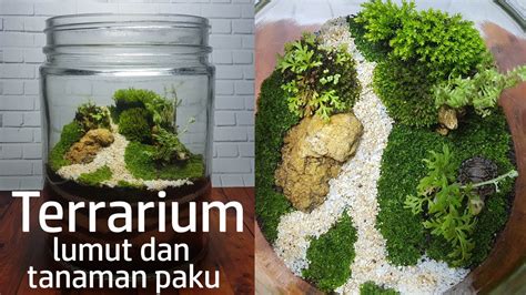 Membuat Terrarium dari Lumut dan Tanaman Paku-Pakuan - YouTube