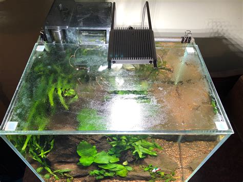 Diy Glass Aquarium Lid - Do It Your Self