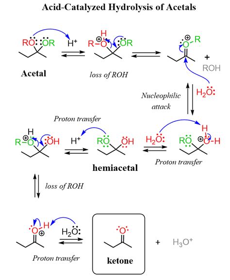 The Reaction Shown Below Illustrates The Acid Catalyzed Hydrolysis Of | My XXX Hot Girl