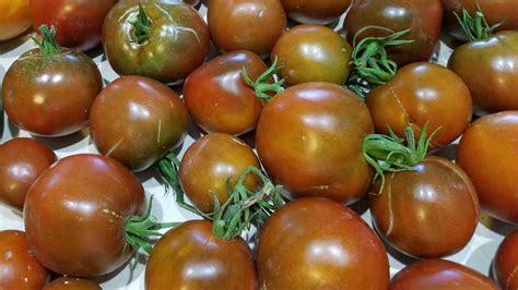 How To Blanch Tomatoes – Green Livin Girls