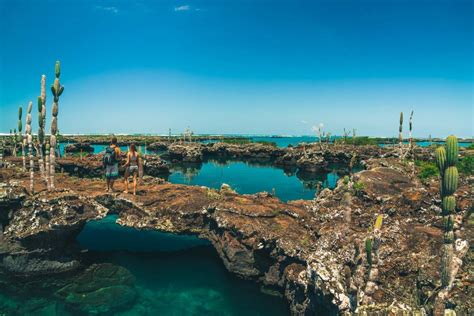 7 Reasons You Can't Miss Isabela Island while in the Galapagos | Drink ...