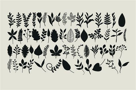 Simple foliage clipart set including various leaf illustrations ...