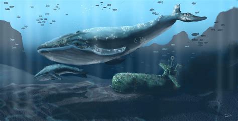 Blue Whale Wallpapers - Wallpaper Cave