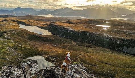 A Truly Dog Friendly Hotel in the Skye Area | Raasay House Hotel