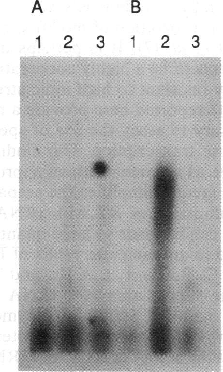 Viral sequences 3' to the primer-binding site seem to confer... | Download Scientific Diagram