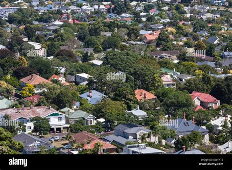 Auckland suburbs houses and greenery,New Zealand Stock Photo - Alamy