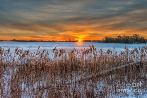 Snowy Sunrise Photograph by Anthony Tucci