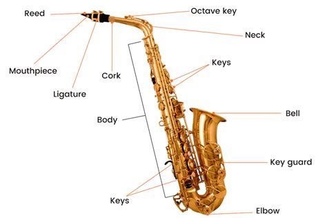 39 alto saxophone parts diagram - Diagram Resource 2022