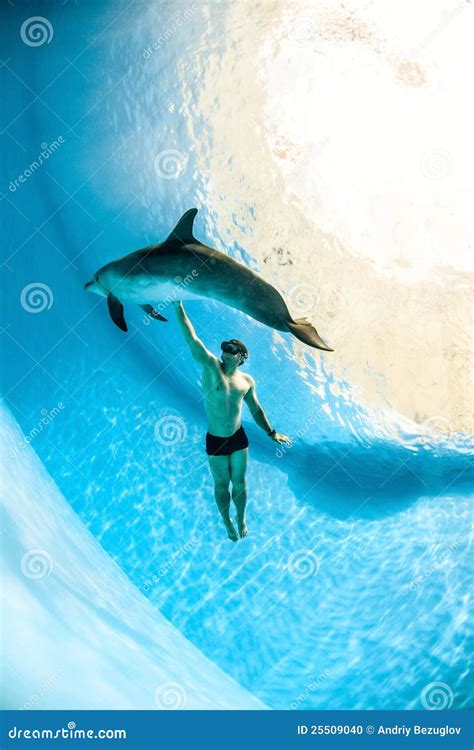 Man And Dolphin Stock Photo - Image: 25509040