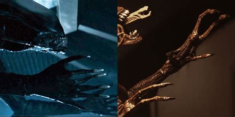 Alien 10 Important Things About The Xenomorph Designs That You Missed