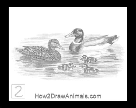 Special Duck Family Drawing