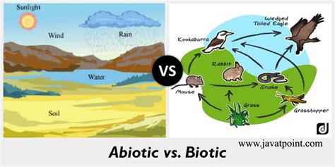 Pin on What is Difference between Abiotic and Biotic ? #javaTpoint