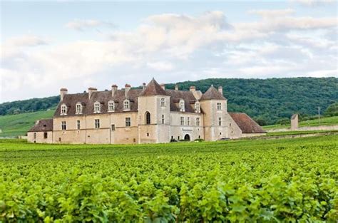 Small-Group Côte de Nuits Burgundy Wine Tour from Beaune On this Small ...