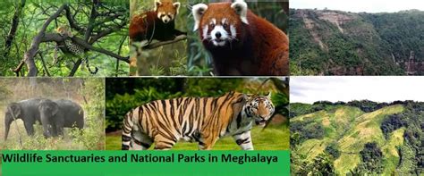 National Parks & Wildlife Sanctuaries in Meghalaya