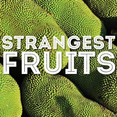 The World’s 35 Strangest Fruits (With Photos!) | Live Eat Learn