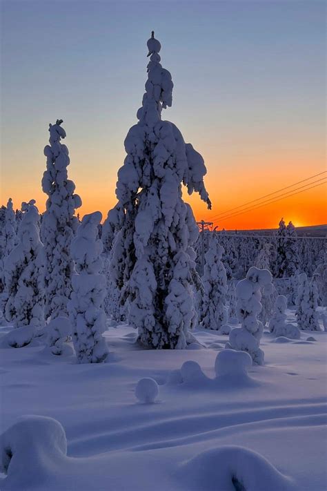 Lapland In Winter: 15 Bucket List Things To Do