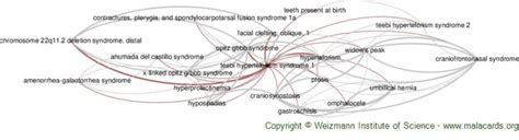 Teebi Hypertelorism Syndrome 1 disease: Malacards - Research Articles, Drugs, Genes, Clinical Trials