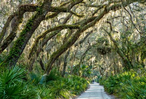 Cumberland Island National Seashore Travel Cost - Average Price of a ...