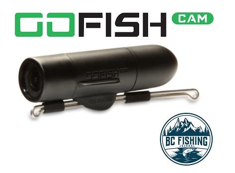 GoFish Cam Review : Best Underwater Fishing Camera - BC Fishing Journal