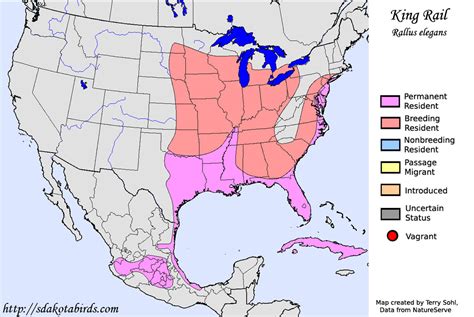 King Rail - Species Range Map