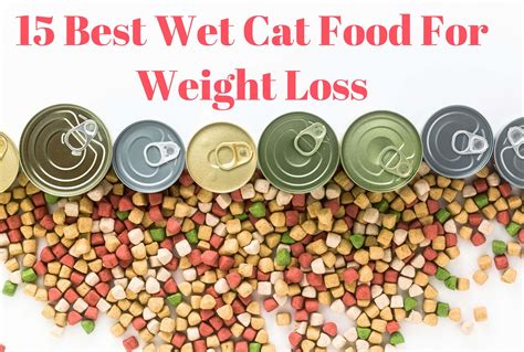 15 Best Wet Cat Food For Weight Loss (2022) | ProudCatOwners