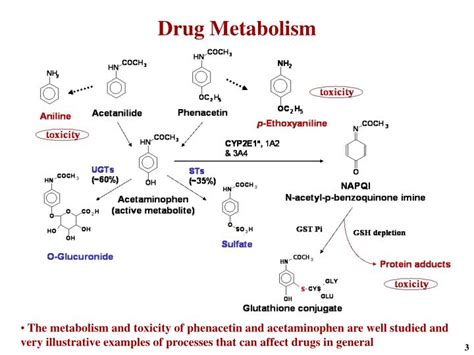 PPT - Predicting Human Drug Metabolism and Pharmacokinetics in Drug Discovery PowerPoint ...