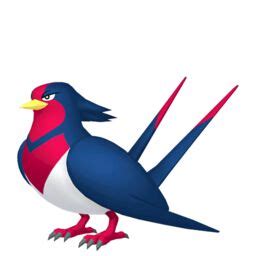 Swellow Pokédex: stats, moves, evolution & locations | Pokémon Database