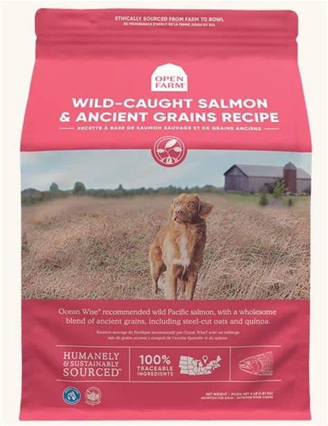 Open Farm Dog Kibble With Grain Salmon - Tailwaggers