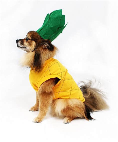 Amazon.com : Pineapple Dog Costume by Midlee (Small) : Pet Supplies | Dog halloween costumes ...