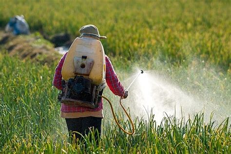 México proíbe herbicida glifosato e outros países do | Saúde