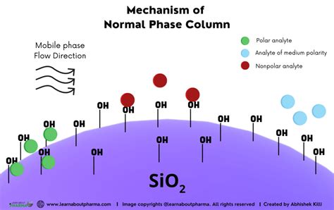 HPLC Columns – Definition, Principle, Types, and Maintenance