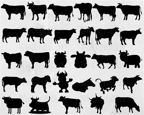 Cow Svg Cow Silhouette Cow Svg Bundle Cow Svg Design Cow Vector Black ...