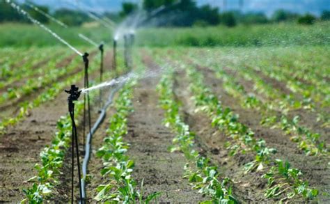 Israel Water Technology - From Crisis to Prosperity