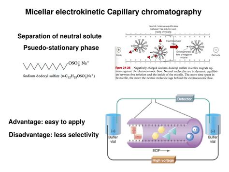 PPT - A. Modes of separation capillary electrophoresis PowerPoint ...