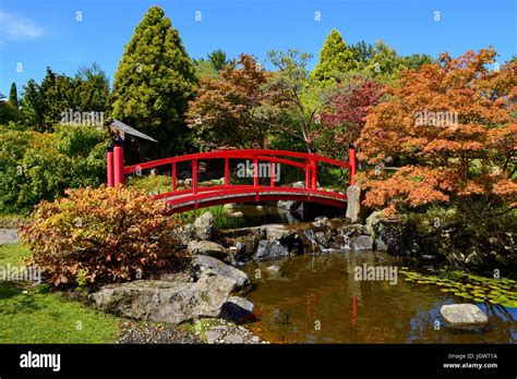 Japanese Garden in the Royal Tasmanian Botanical Gardens in Hobart, Tasmania, Australia Stock ...