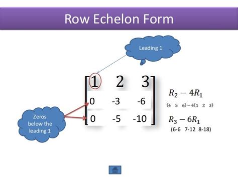 Echelon forms