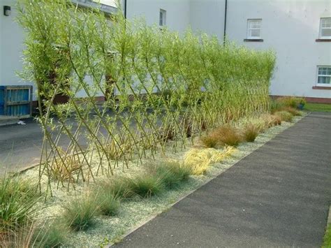 4 Beautiful Living Willow Fence Designs