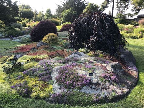 Mendocino Coast Botanical Gardens (Fort Bragg CA 7/1-8/31, 2019 ...