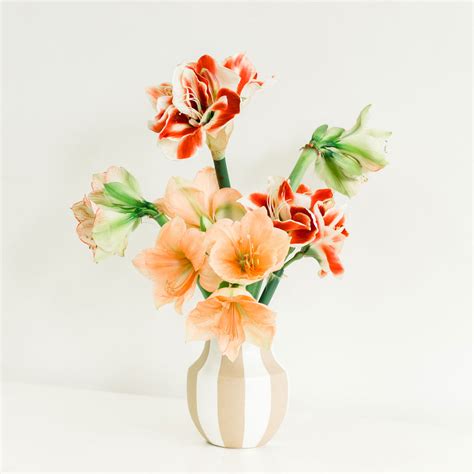 Tall Flower Arrangement | Native Poppy Shop