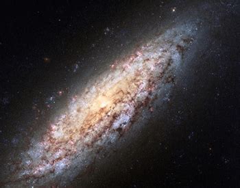 15 Spiral Galaxy Facts for Kids, Students and Astronomers