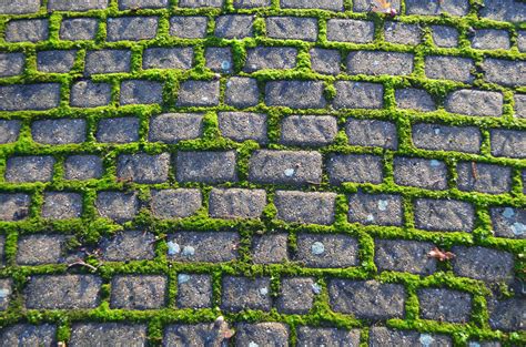 Free Images : grass, texture, roof, old, cobblestone, asphalt, pavement, moss, green, soil ...