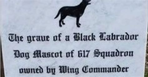 Memorial to Dambusters dog has racial slur removed - Essex Live