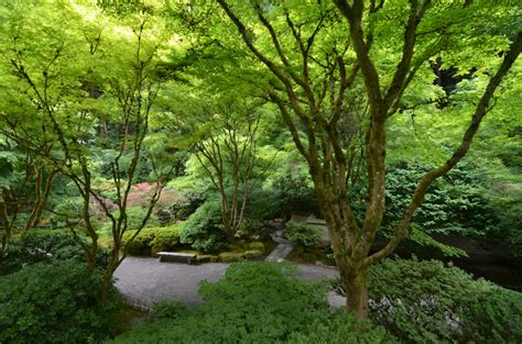 Portland Japanese Garden - DiLiLAH - Digital Library of Landscape Architecture History